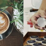 天地人學堂精品咖啡國際證照班（-SCA-Introduction-To-Coffee）