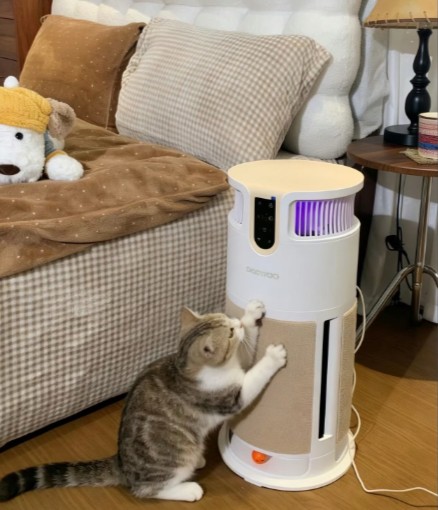 貓毛過敏舒緩方法