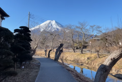 (10月去日本)