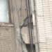 (地震房子裂痕)