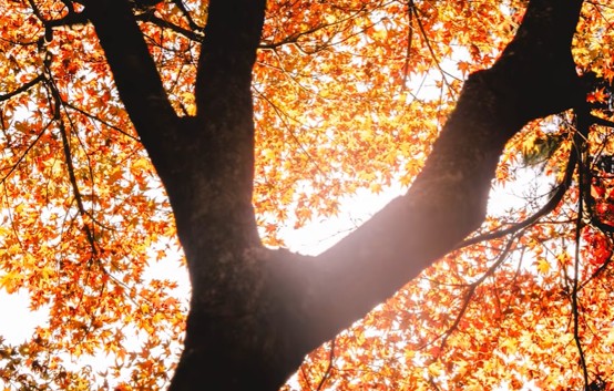 （日本10月氣溫）